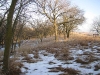 East View of Pasture  